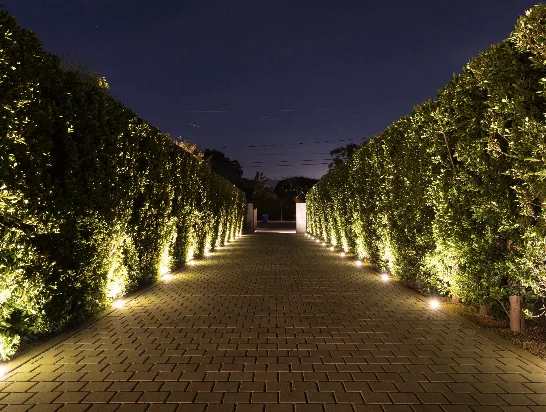 Professional lawn care service experts serving Encinitas, CA - Landmark Design