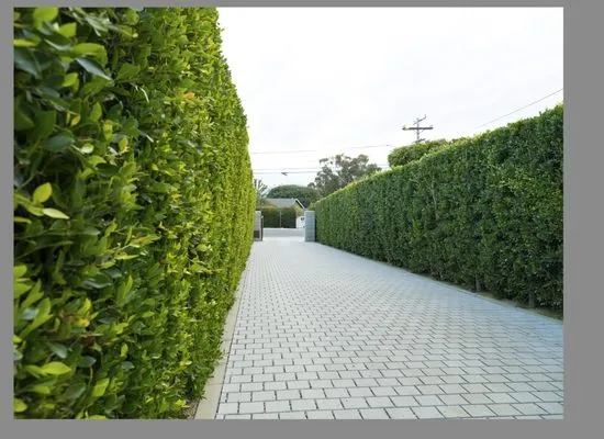 Landmark Design Logo