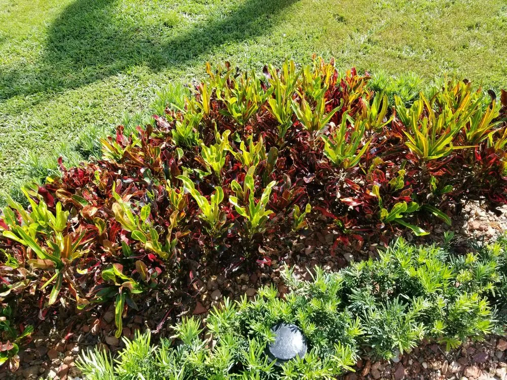 Custom landscaping services for homes in Loxahatchee, FL by Landmark Grounds Services