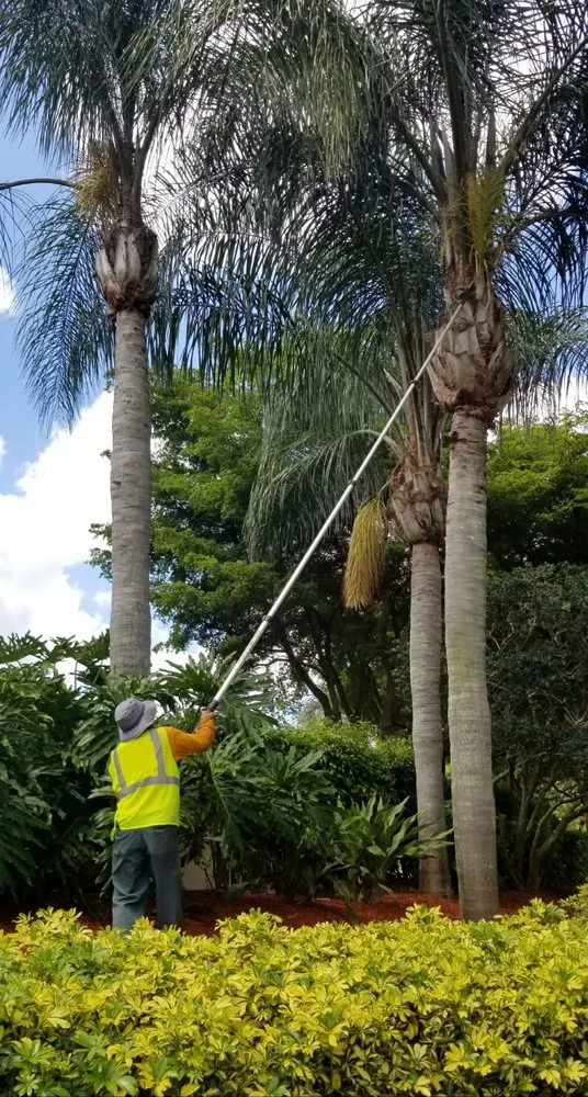 Local landscape design for outdoor upgrades across Loxahatchee, FL - Landmark Grounds Services