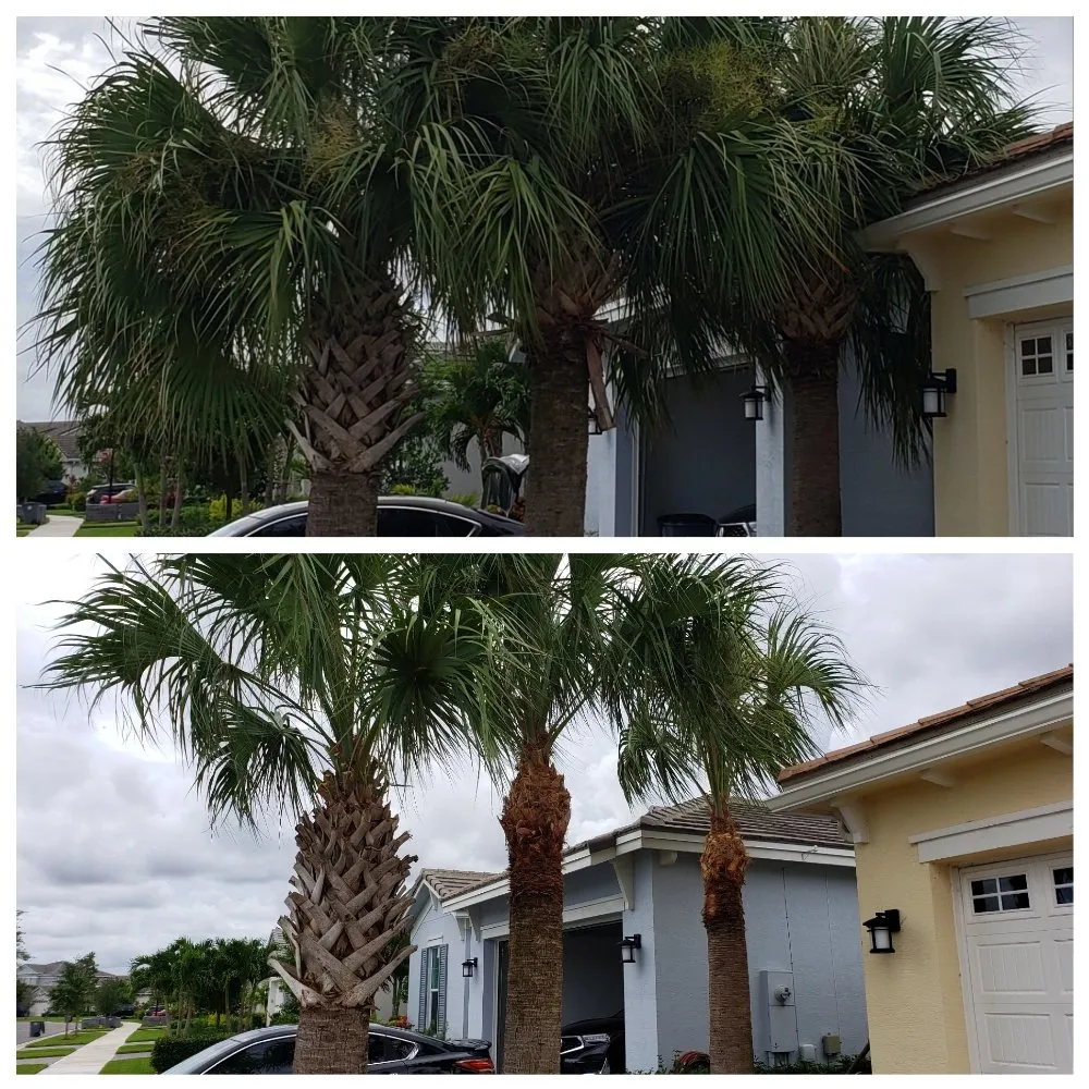 Reliable garden landscaping experts serving Loxahatchee, FL - Landmark Grounds Services