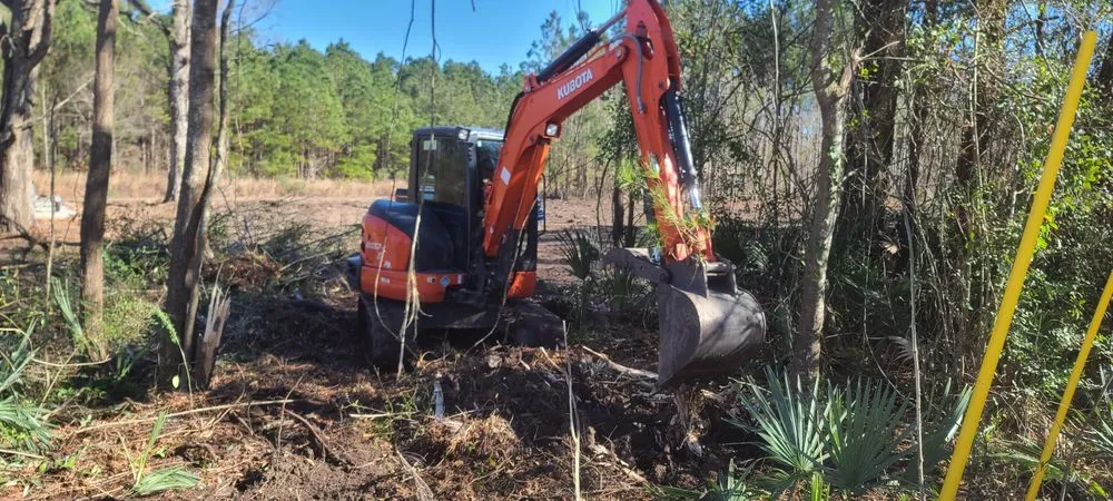 Professional landscaping services experts serving Myrtle Beach, SC - Landmark Land Clearing