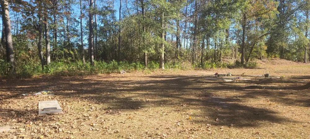 Reliable lawn care service experts serving Myrtle Beach, SC - Landmark Land Clearing