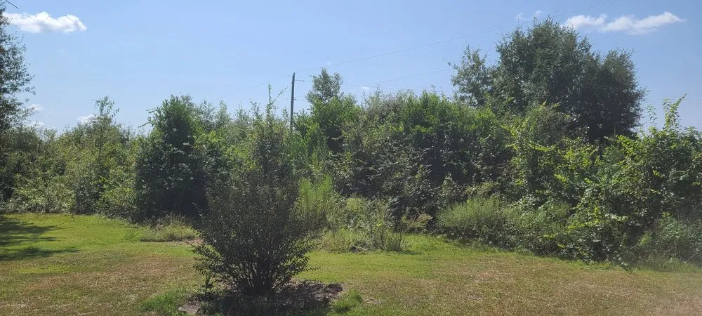 Custom lawn care service for homes in Myrtle Beach, SC by Landmark Land Clearing