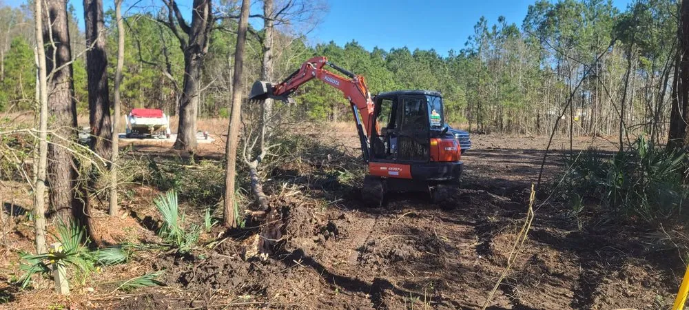 Expert yard maintenance for year-round maintenance across Myrtle Beach, SC - Landmark Land Clearing
