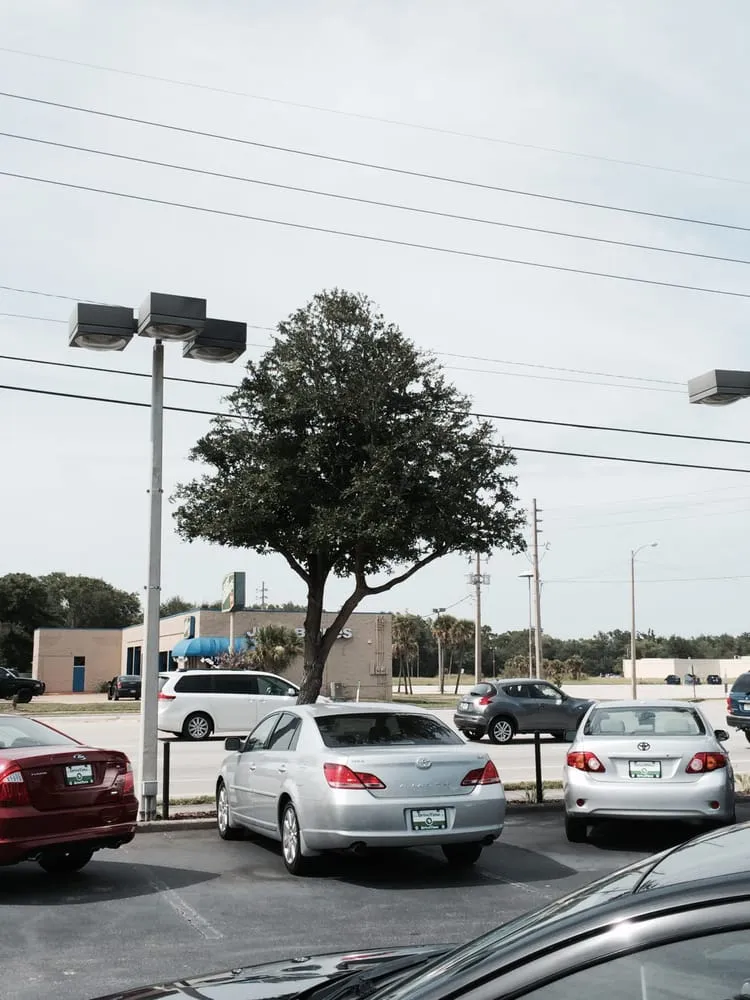 Affordable yard maintenance experts serving Winter Park, FL - Landmark Landscape and Maintenance