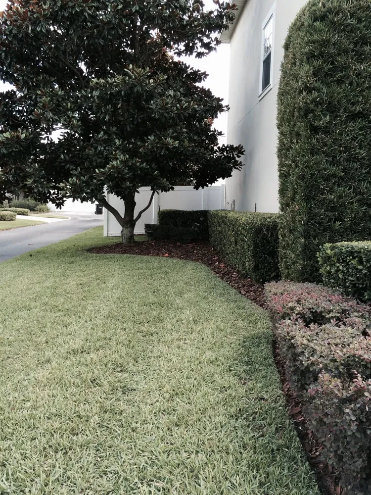 Reliable landscape design in Winter Park, FL by Landmark Landscape and Maintenance