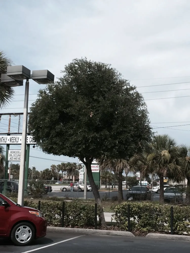 Reliable landscape design experts serving Winter Park, FL - Landmark Landscape and Maintenance