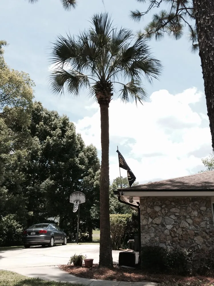 Custom landscape installation in Winter Park, FL - Landmark Landscape and Maintenance