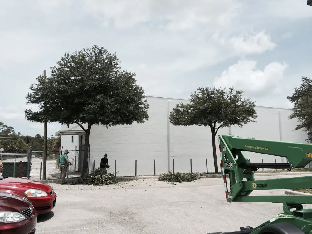 Professional yard maintenance for residential properties across Winter Park, FL - Landmark Landscape and Maintenance