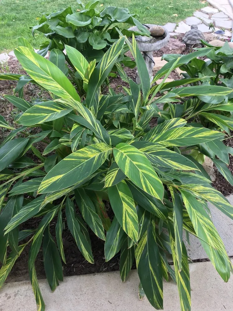 Reliable garden landscaping for beautiful yards in Simi Valley, CA by Landmark Landscape Corp