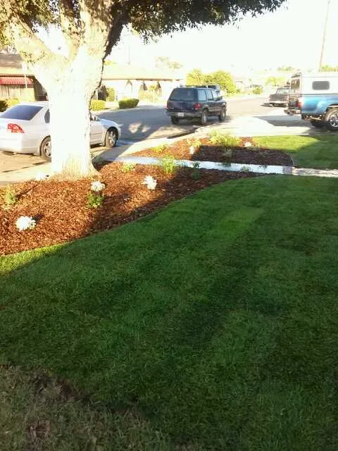 Top-rated yard cleanup service experts serving Simi Valley, CA - Landmark Landscape Corp