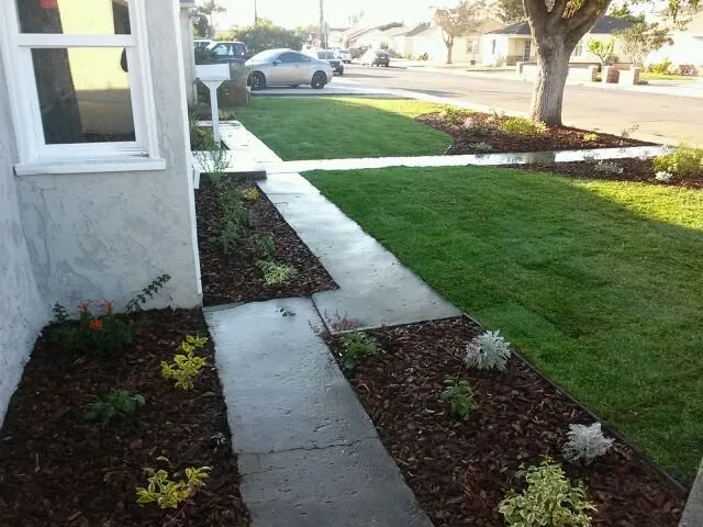 Custom yard cleanup service for outdoor upgrades in Simi Valley, CA by Landmark Landscape Corp