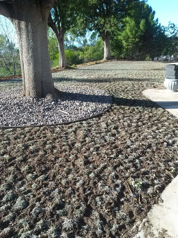 Custom garden landscaping for homes in Simi Valley, CA by Landmark Landscape Corp