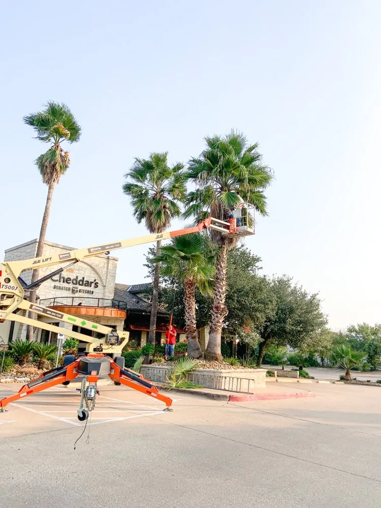 Expert lawn care service for outdoor upgrades across College Station, TX - Landmark Landscape Group