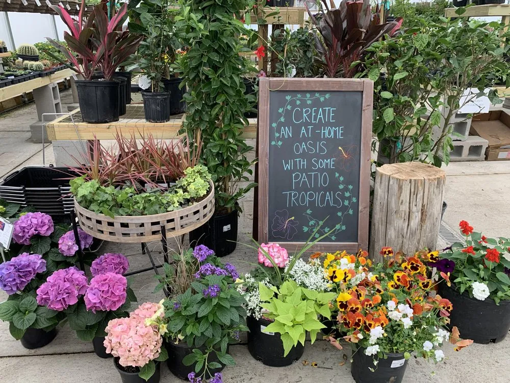 Professional lawn mowing service with custom design across Eagle, NE - Landmark Landscapes and Nursery