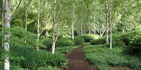 Affordable lawn care service in Eagle, NE by Landmark Landscapes and Nursery