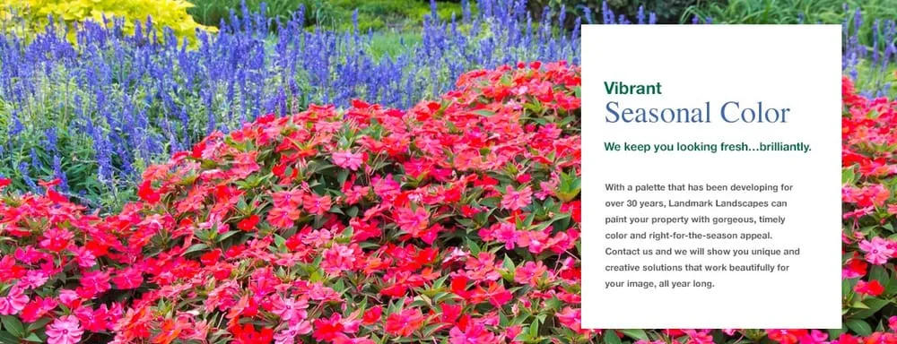 Top-rated yard cleanup service with custom design across Norcross, GA - Landmark Landscapes