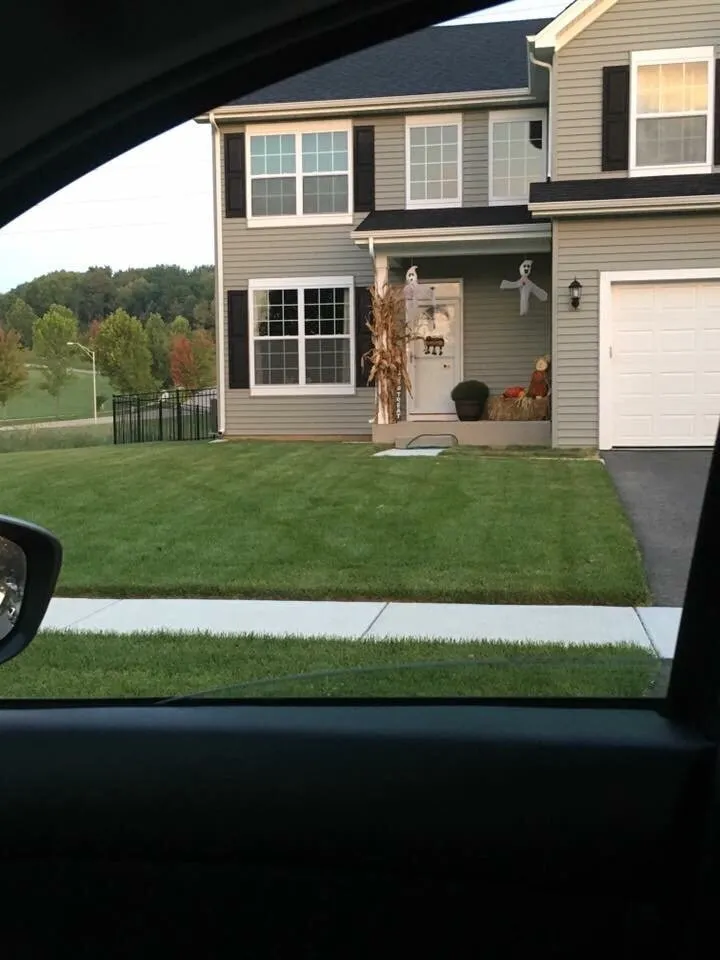 Reliable yard cleanup service experts serving Minooka, IL - Landmark Landscaping