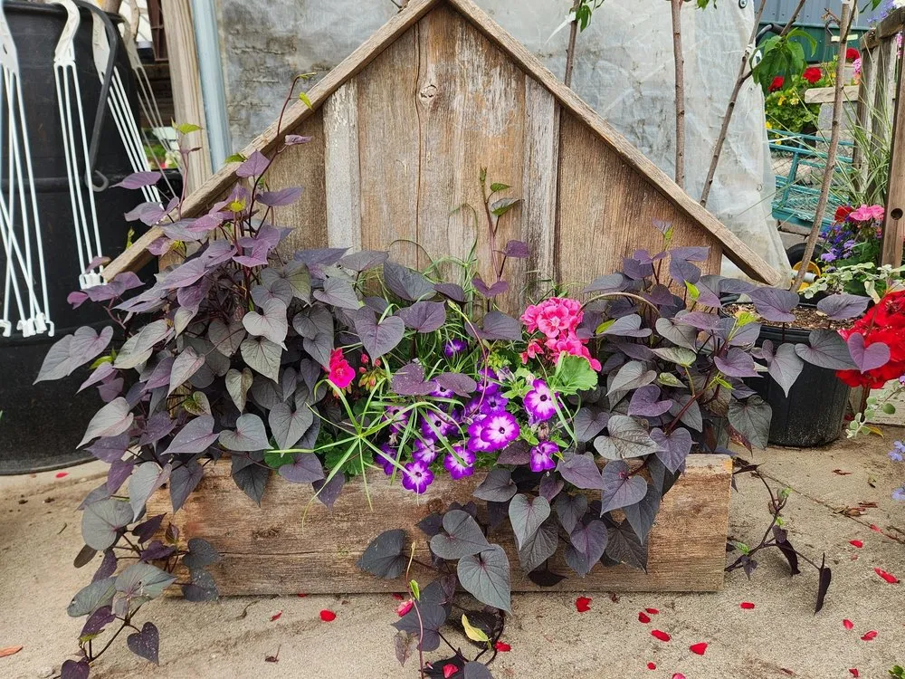 Professional garden landscaping in Aledo, IL - Landmark Landscaping Services