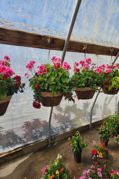 Professional yard maintenance experts serving Aledo, IL - Landmark Landscaping Services