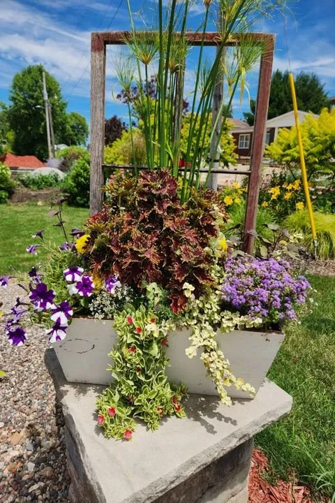 Local lawn care service in Aledo, IL - Landmark Landscaping Services