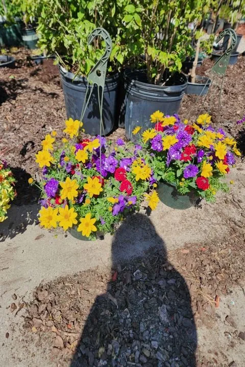 Affordable garden landscaping experts serving Aledo, IL - Landmark Landscaping Services