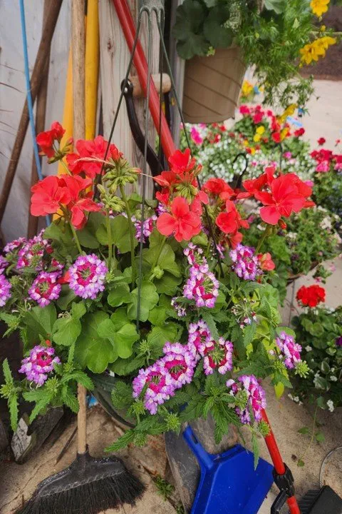 Professional garden landscaping in Aledo, IL - Landmark Landscaping Services