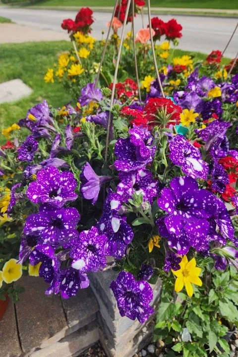 Professional lawn mowing service experts serving Aledo, IL - Landmark Landscaping Services