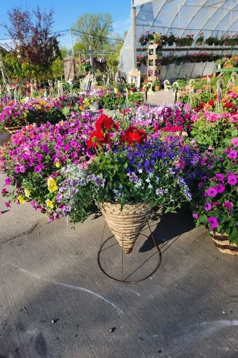 Local outdoor landscaping experts serving Aledo, IL - Landmark Landscaping Services