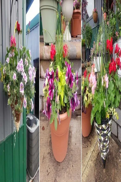 Trusted outdoor landscaping for year-round maintenance across Aledo, IL - Landmark Landscaping Services