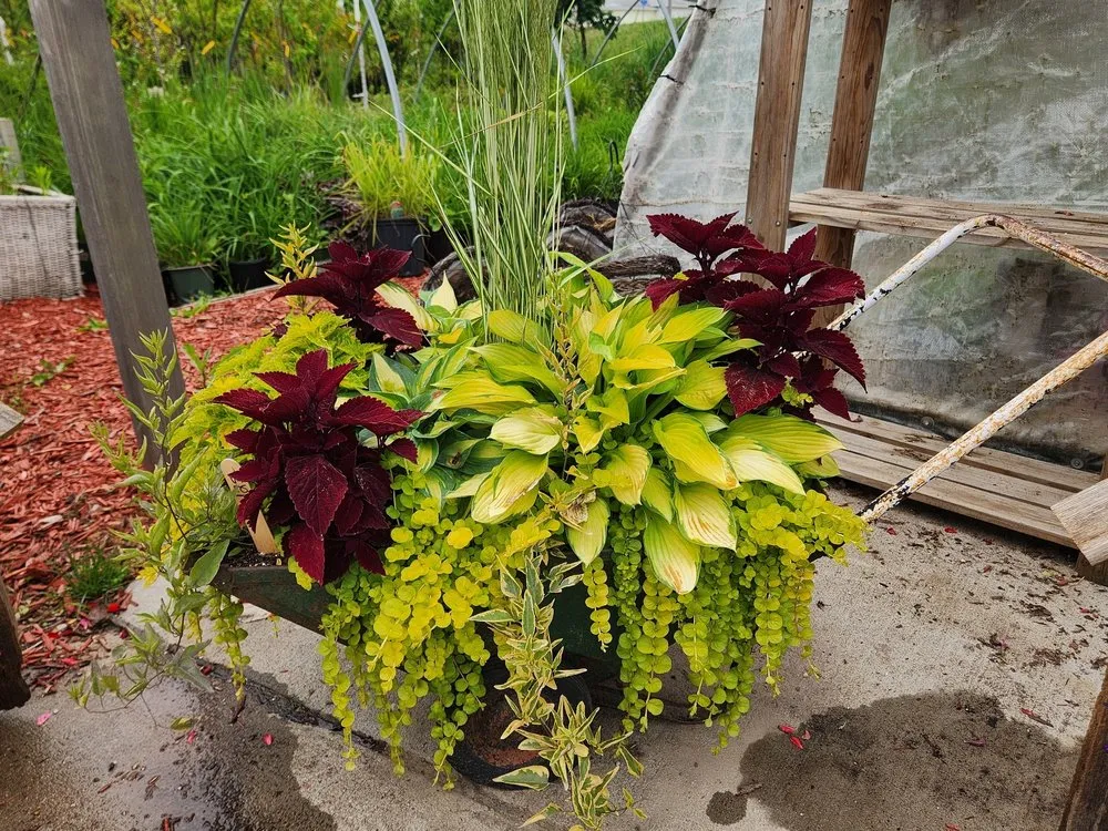 Trusted yard maintenance in Aledo, IL - Landmark Landscaping Services