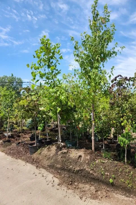 Expert garden landscaping in Aledo, IL by Landmark Landscaping Services