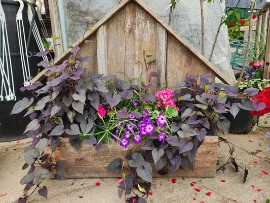 Landmark Landscaping Services