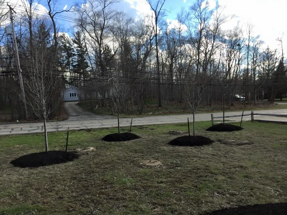 Top-rated residential landscaping with custom design in Chardon, OH by Landmark Lawn Care