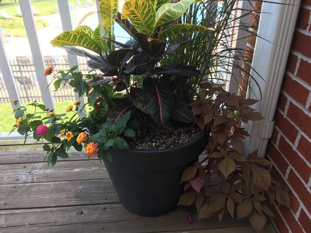 Custom lawn care service experts serving Laurel, MD - Landmark Lawns & Landscaping