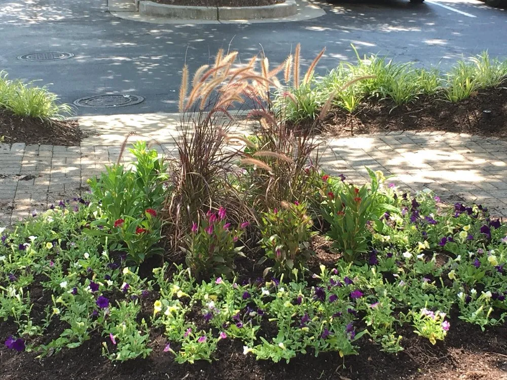 Custom yard cleanup service in Laurel, MD by Landmark Lawns & Landscaping