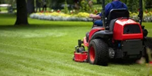 Local yard cleanup service for outdoor upgrades across Franklin, TN - Landmark Lawns