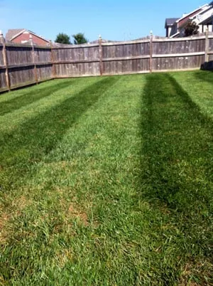 Professional residential landscaping in Franklin, TN - Landmark Lawns