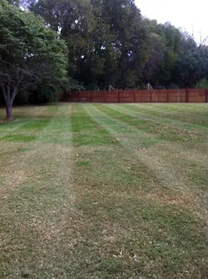 Expert outdoor landscaping for residential properties across Franklin, TN - Landmark Lawns