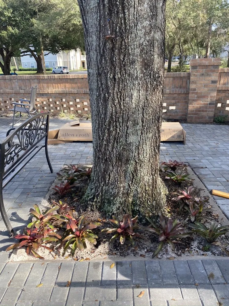 Trusted lawn mowing service in Orlando, FL - Landmark Outdoor Services