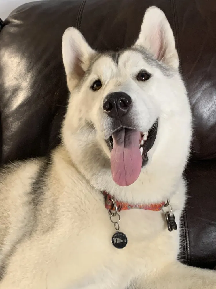 Top-rated residential landscaping in Coatesville, PA - Landmark Solutions of