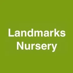 Professional landscape design for outdoor upgrades in Richmond Hill, GA by Landmarks Nursery