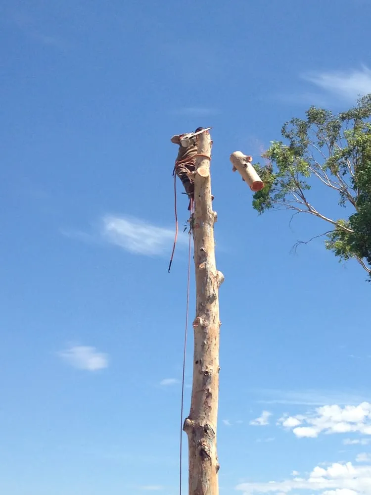 Expert landscape installation experts serving Phoenix, AZ - Landmasters Landscaping