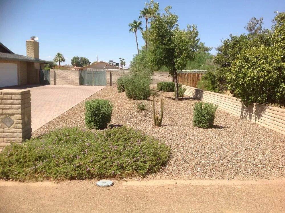Reliable lawn care service for homes in Phoenix, AZ by Landmasters Landscaping