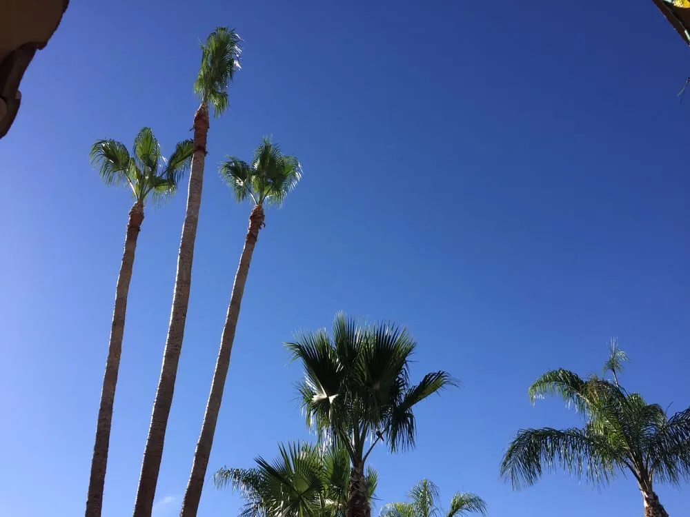 Custom lawn care service experts serving Phoenix, AZ - Landmasters Landscaping