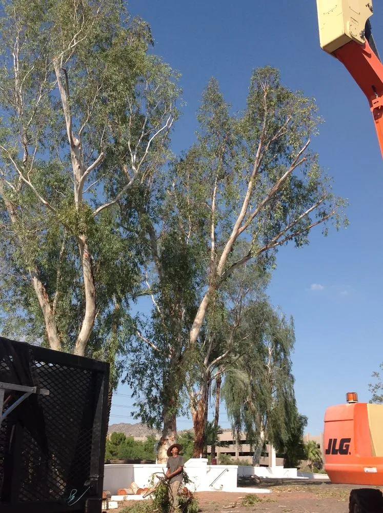 Custom landscaping services in Phoenix, AZ - Landmasters Landscaping