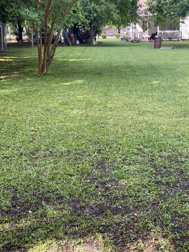 Affordable garden landscaping for outdoor upgrades in Selma, NC by Landon Gamez