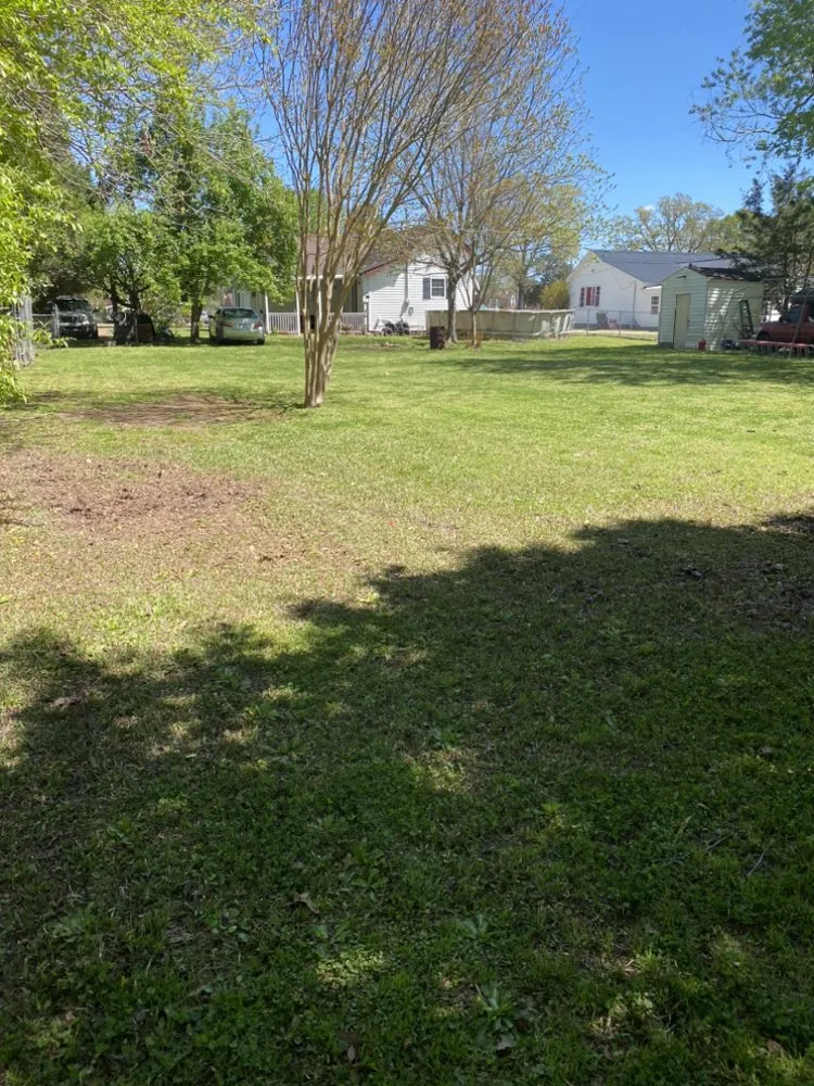 Custom landscape installation near you in Selma, NC by Landon Gamez