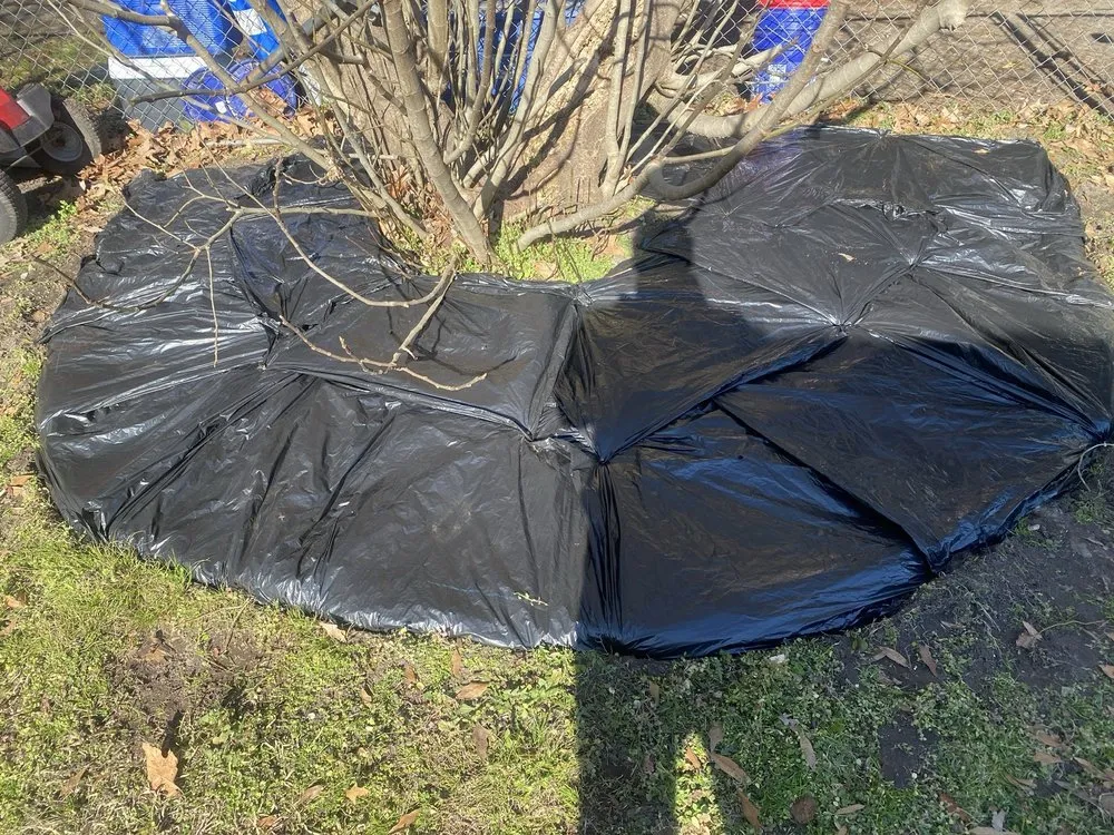 Expert landscape design in Selma, NC - Landon Gamez